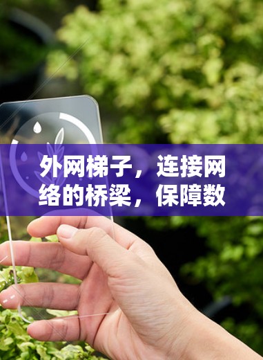 外网梯子,连接网络的桥梁,保障数据传输的顺畅