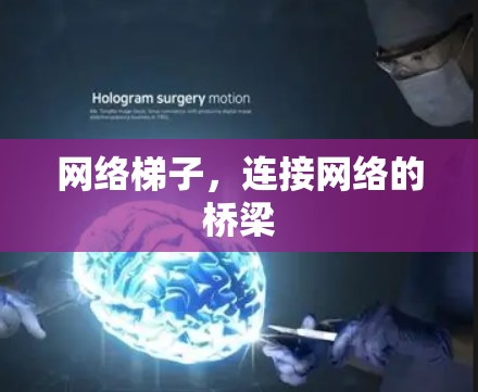 <strong>网络梯子</strong>，连接网络的桥梁