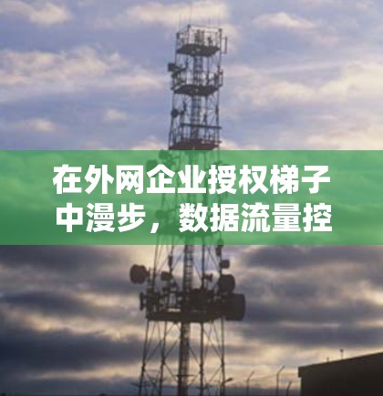 在外网企业授权梯子中漫步,数据流量控制的梯度式管理