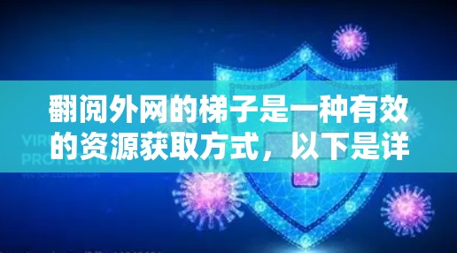 翻阅外网的梯子是一种有效的资源获取方式,以下是详细的步骤指南